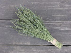 Сбор трав, Иссоп