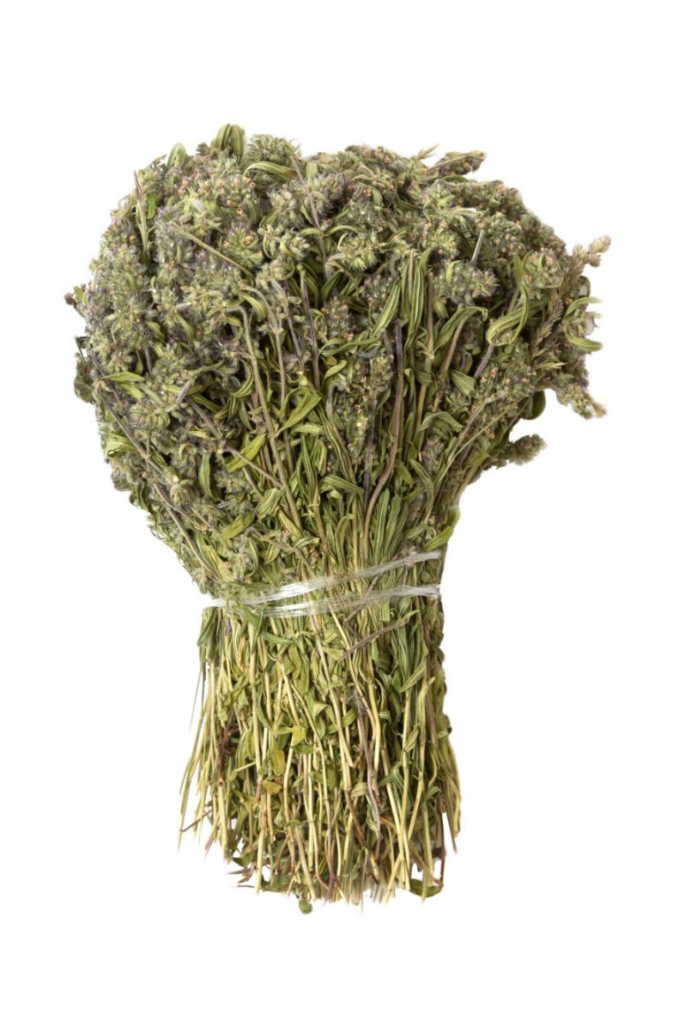 Сбор трав, Чабрец