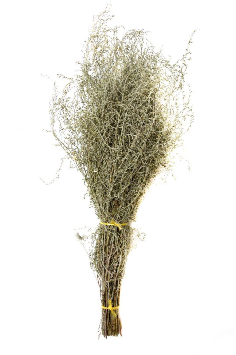 Сбор трав, Полынь лимонная