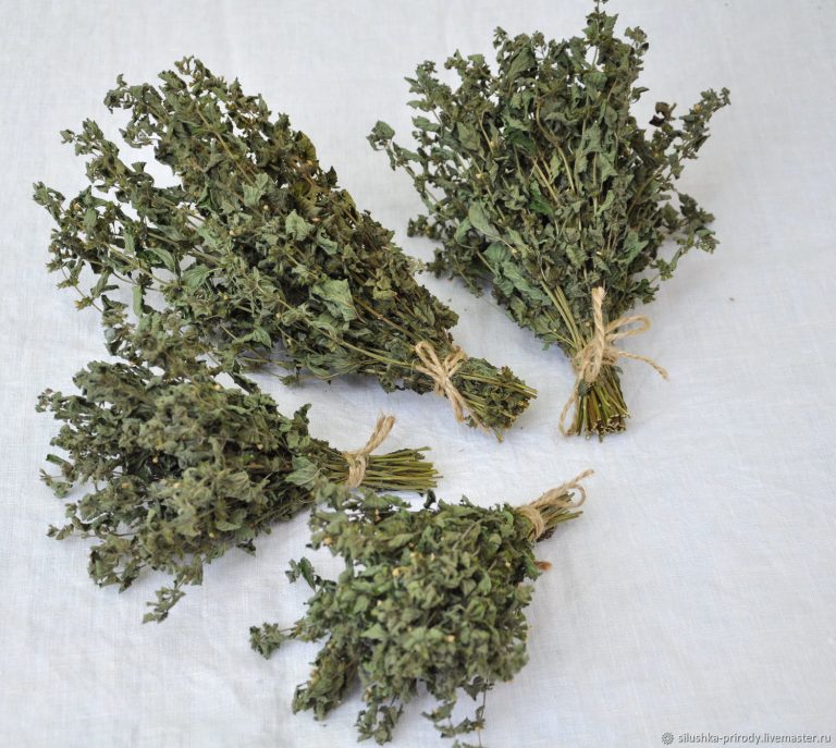 Сбор трав, Мелисса