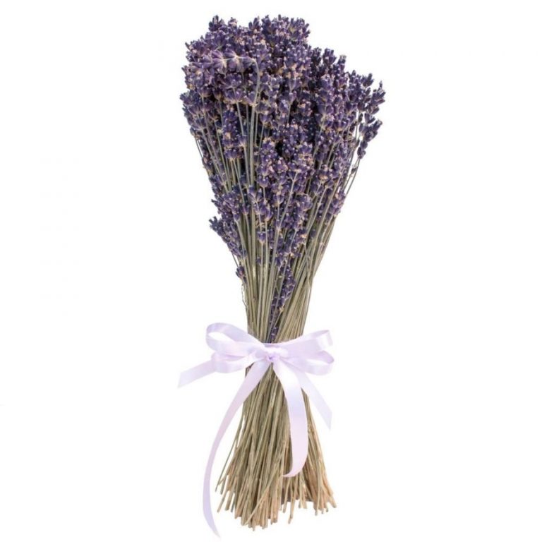 Сбор трав, Лаванда